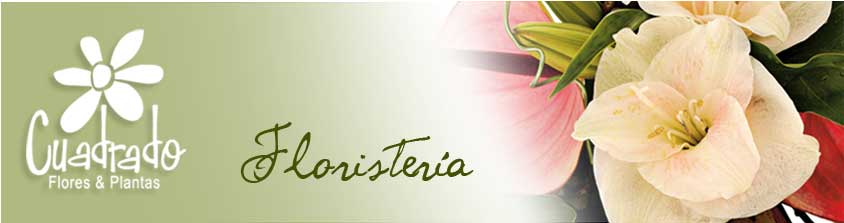Ir a inicio