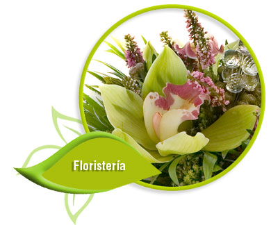 Ir a florister&iacute;a Cuadrado en El Ejido - Almer&iacute;a