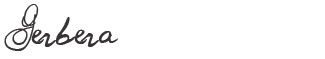 Gerbera